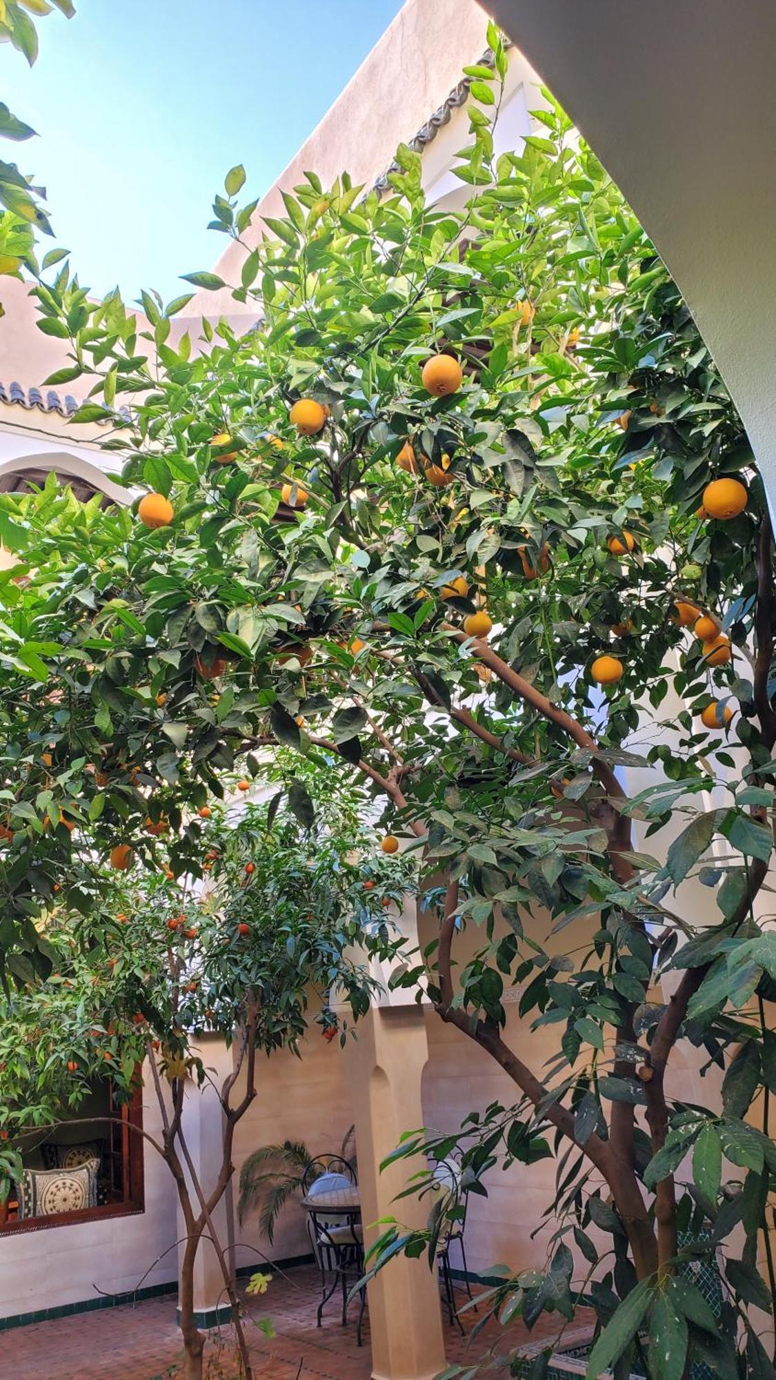 Riad Tidar By Phoenix Марракеш Экстерьер фото