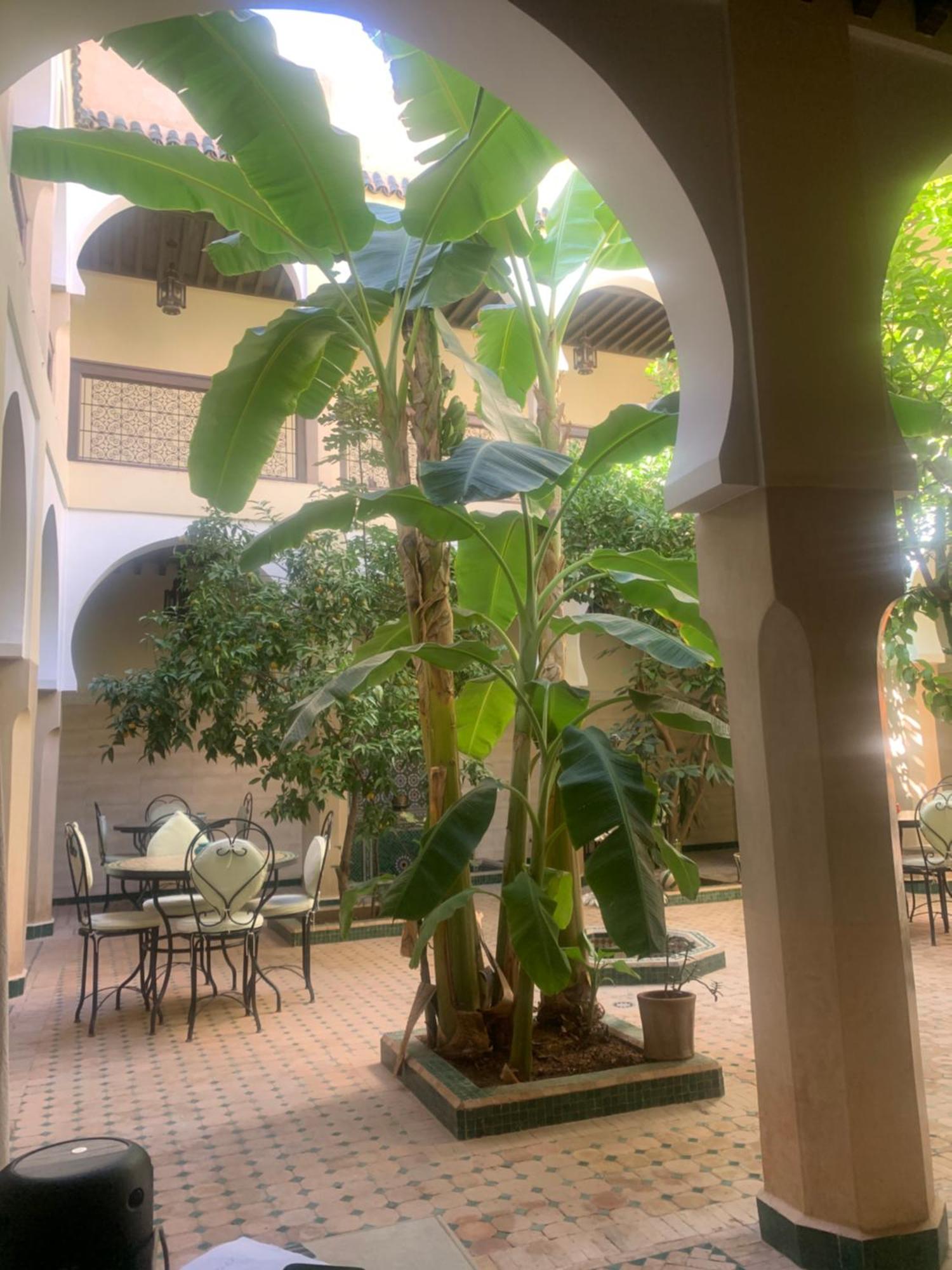 Riad Tidar By Phoenix Марракеш Экстерьер фото