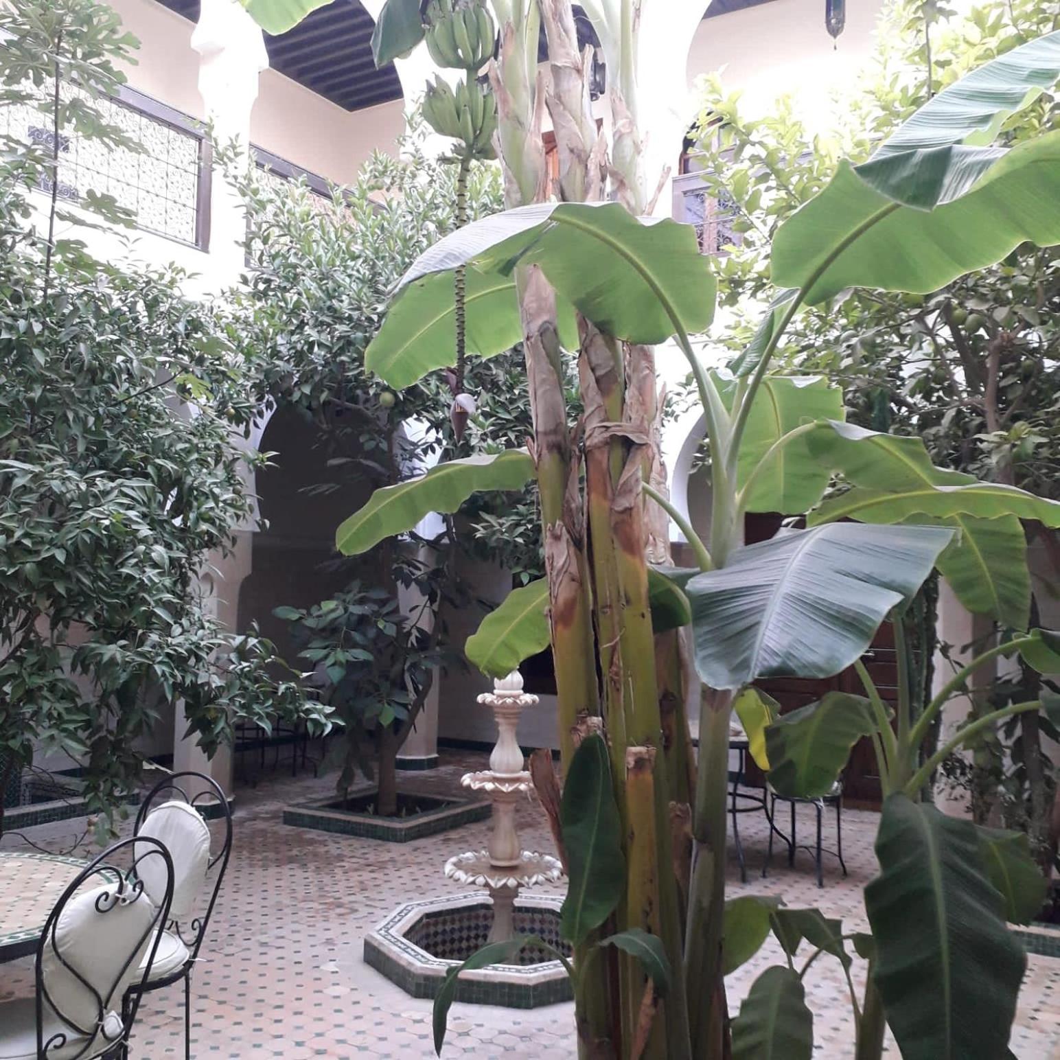Riad Tidar By Phoenix Марракеш Экстерьер фото