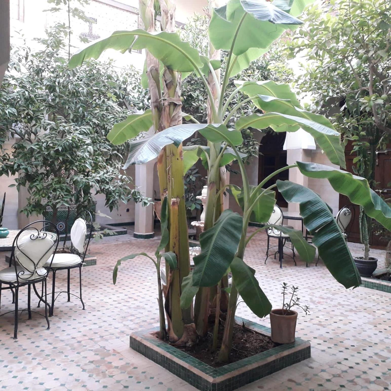 Riad Tidar By Phoenix Марракеш Экстерьер фото